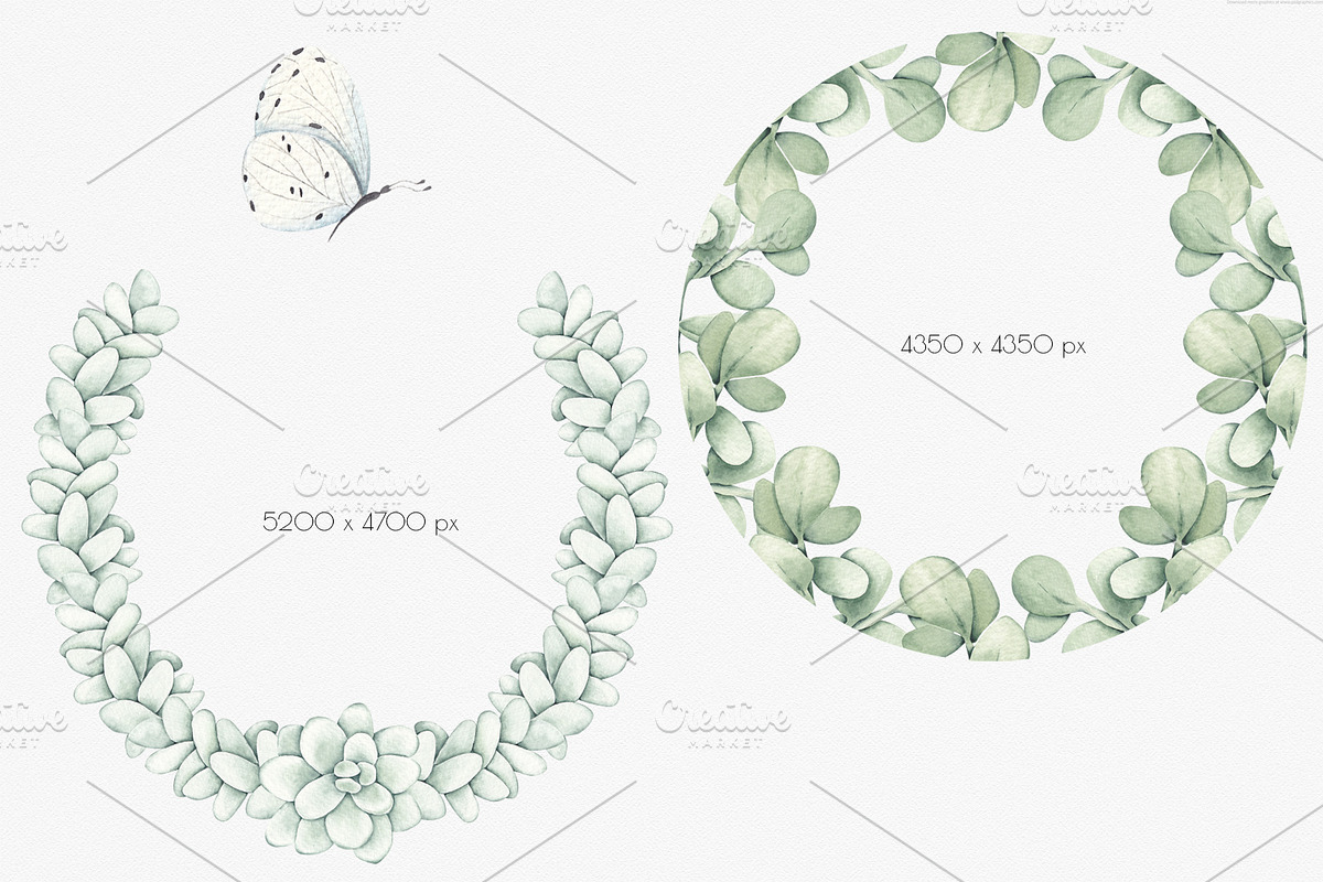 Watercolor ClipArt Green Plants, an Illustration by SirenaArt (Photo 6 of 20)