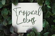 Just Write | Script Font, a Script Font by Jolicia Type (Thumbnail 6 of 9)
