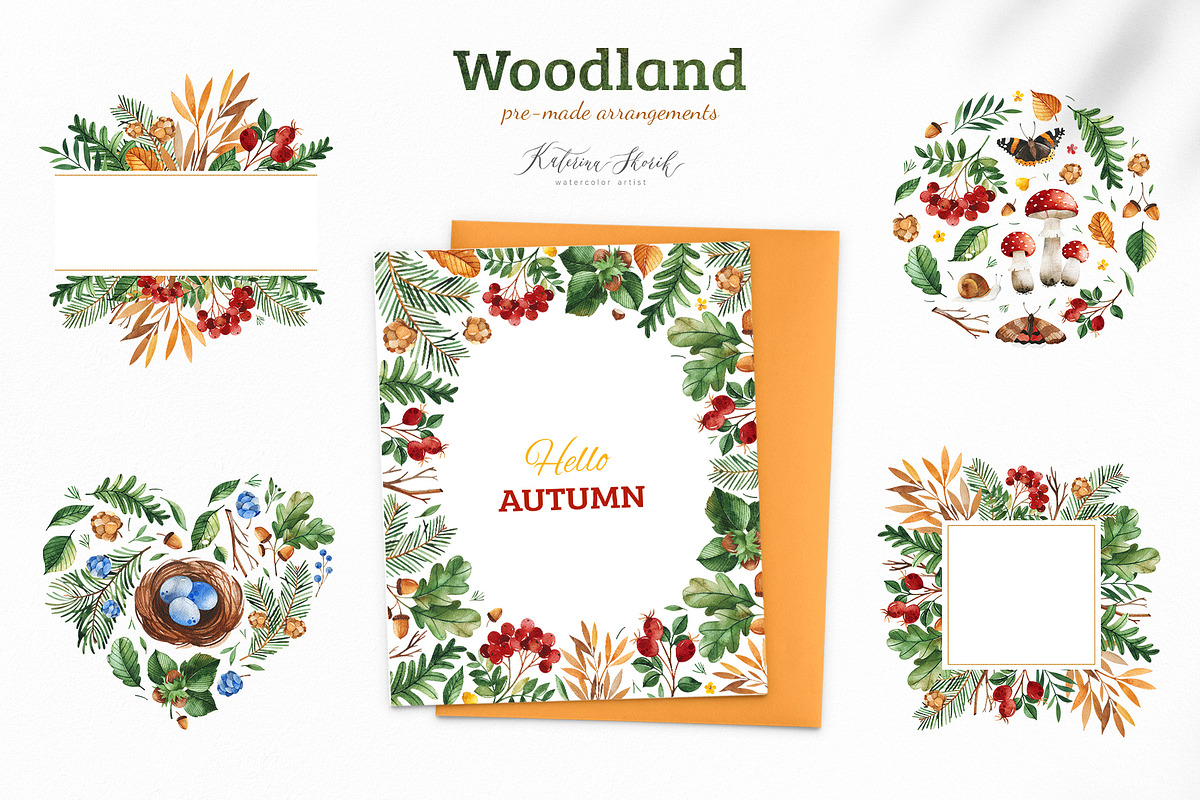 Woodland. Cute forest collection., an Animal Illustration by Kate_Rina (Photo 12 of 15)