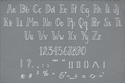 Le Petit Parisien Light, a Serif Font by The Pen and Brush (Thumbnail 2 of 5)