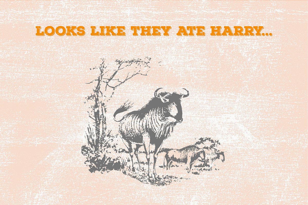 52 Safari Vector Illustrations, an Animal Illustration by TheBlackPixelCo (Photo 4 of 5)