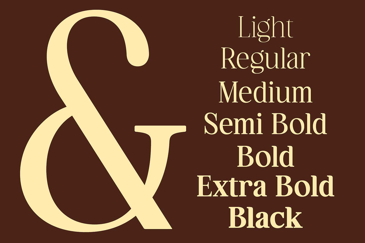 Hagios - Serif Family, a Serif Font by Novitype (Photo 5 of 15)