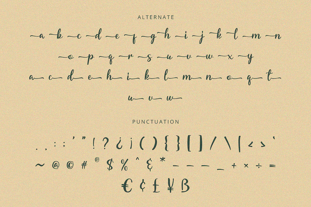 Starella - Script Font, a Font by Alpaprana (Photo 8 of 9)