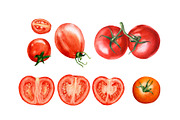 Watercolor organic food, a Food Illustration by Katya Zlobina (Thumbnail 3 of 9)