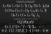 Autumn in Septemeber, a Handwritten Font by FreshTypeINK (Thumbnail 2 of 8)