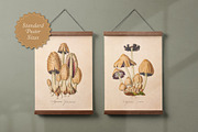 75 Vintage Mushroom Ephemera Artwork, a Decorative Illustration by The Object Atlas (Thumbnail 5 of 7)