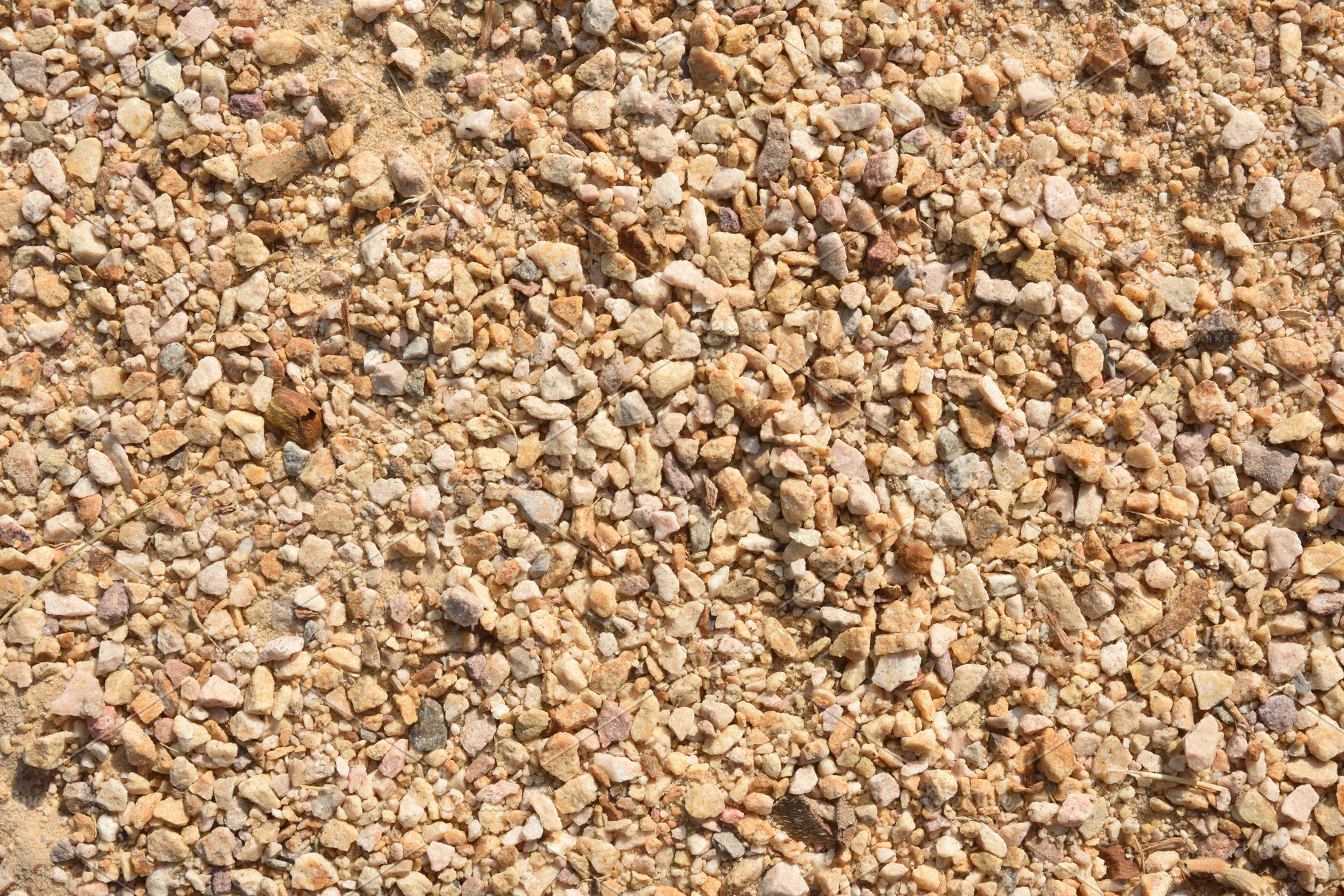 Detail of a dirt path with small stones, a Nature Photo by Davizro's Market