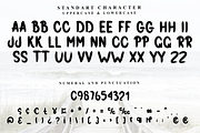 Grading Game, a Script Font by FreshTypeINK (Thumbnail 4 of 8)