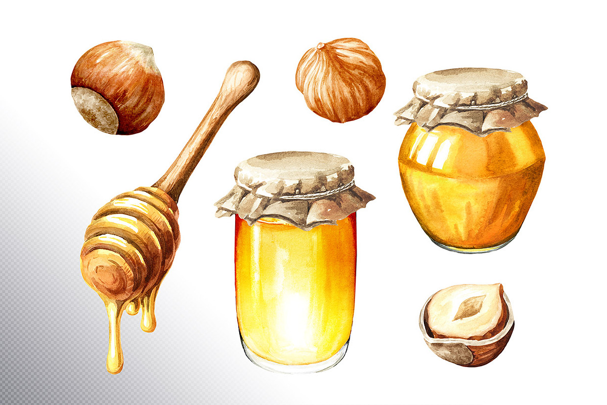 Huzelnuts. Watercolor collection, a Food Illustration by Daria Ustiugova (Photo 18 of 23)