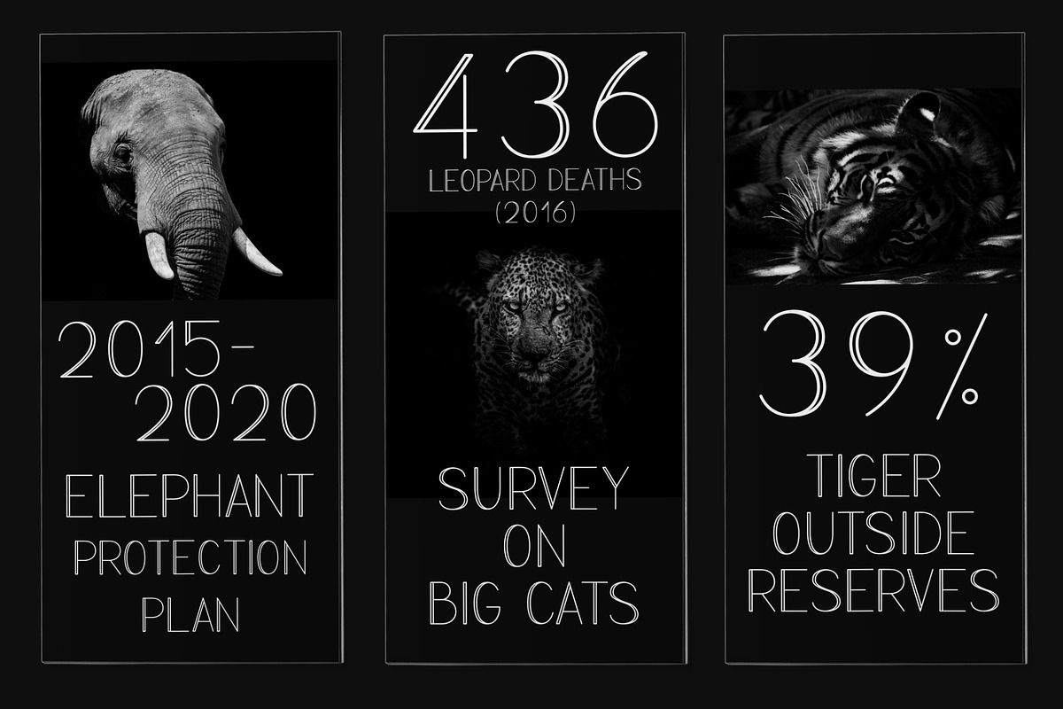 PROTECT Sans Serif Font Family preview 5