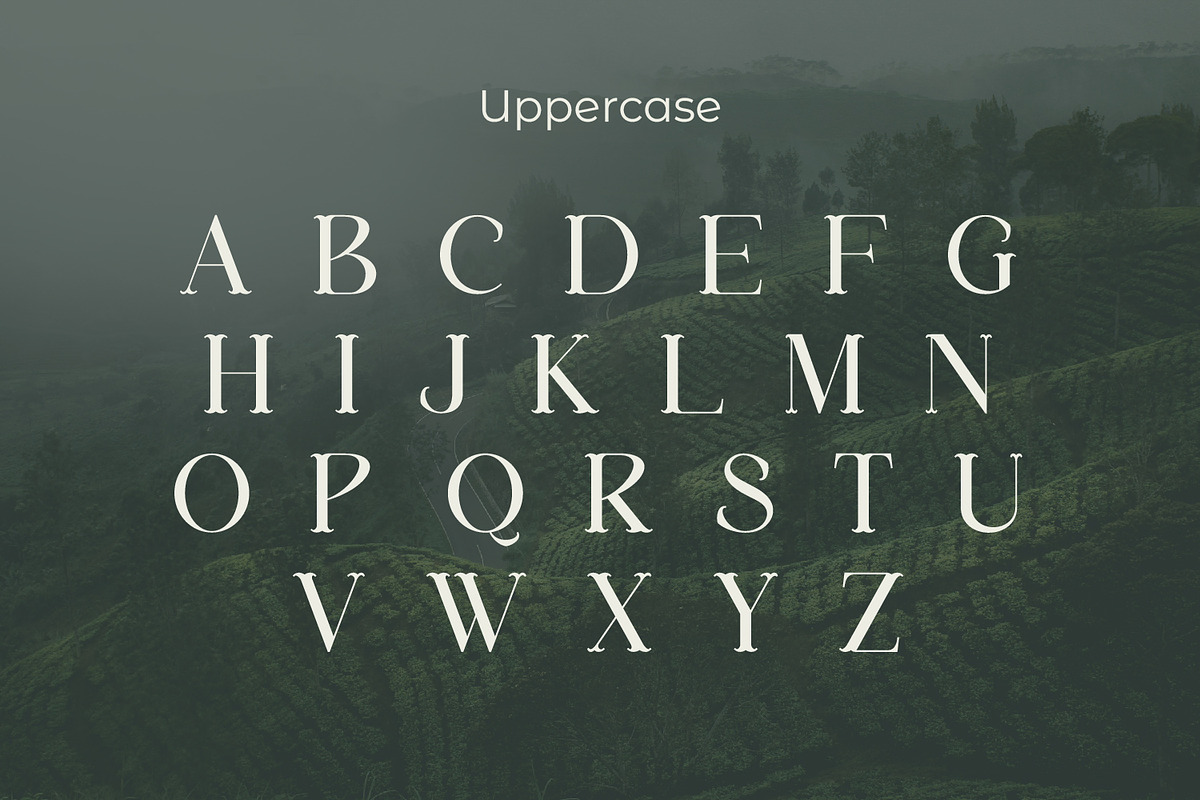 Megarow, a Serif Font by Rishsketch (Photo 8 of 13)