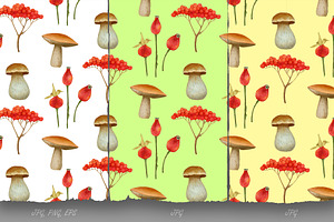 Forest Collection / Pattern Design