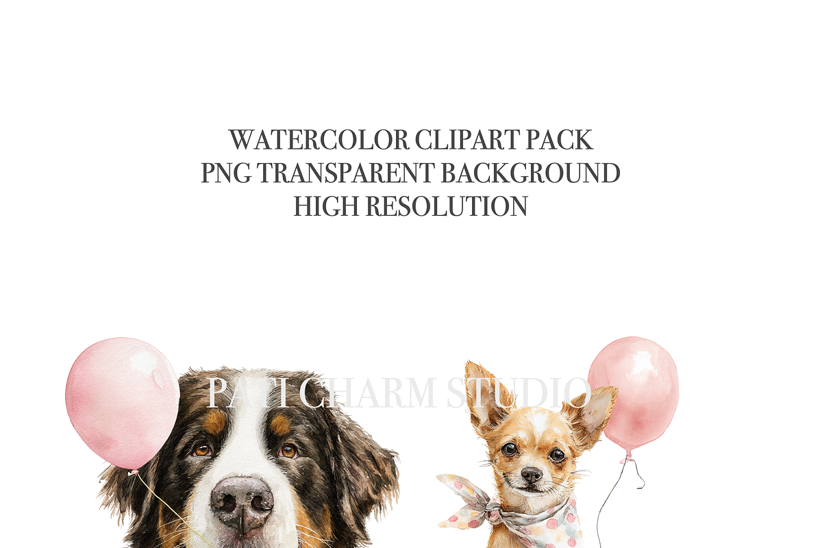 40 Birthday Dog Clipart PNGs, an Animal Illustration by Pati Charm Studio (Photo 5 of 9)