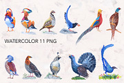 Watercolor forest birds., an Illustration by lilisavelieva (Thumbnail 2 of 5)