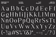 GrethaSerif, a Serif Font by Propertype (Thumbnail 14 of 14)