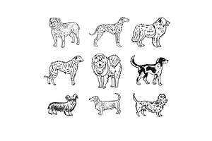Dogs breeds collection. Vintage, an Animal Illustration by Kudryashka