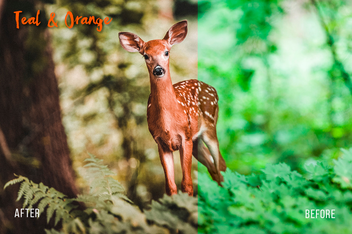 TEAL & ORANGE Lightroom presets preview 5