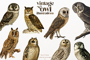 Vintage owl illustrations, an Animal Illustration by Natalka Dmitrova art (Thumbnail 1 of 7)