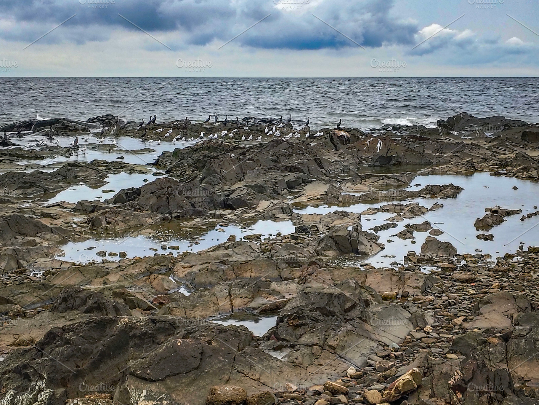 Rocky coastline at low tide, montevideo, uruguay, a Nature Photo by DanFLCreativo
