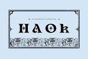 Havox Vintage - Branding Logo Font, a Serif Font by Nirmana Visual (Thumbnail 8 of 10)