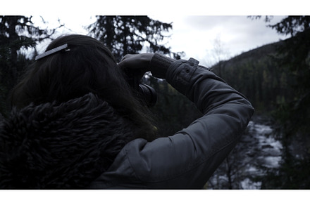 A woman with camera shoots a forest, a Nature Photo by Media Whale Stock