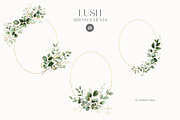 LUSH - Eucalyptus and Gold, a Decorative Illustration by Isabelle Salem (Thumbnail 4 of 7)