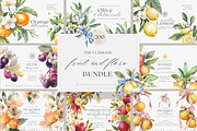 BUNDLE Watercolor Fruit and Flora, a Decorative Illustration by ThaismotaCreativeCo (Thumbnail 1 of 14)