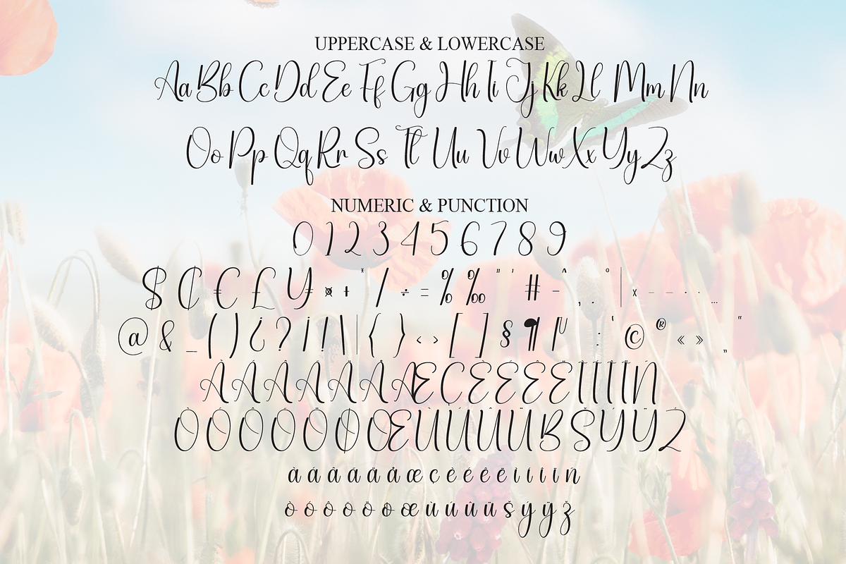 Butterfly | Script Font, a Handwritten Font by Scratchones (Photo 7 of 8)