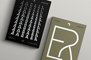 Leonidas Sans - Variable Weight Font, a Sans Serif Font by Eagle & Bison Design Co. (Thumbnail 10 of 11)