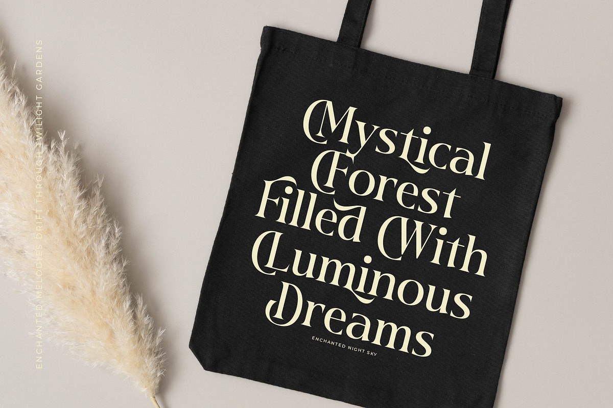Twilight Vintage Modern Serif, a Serif Font by timelesstype.co (Photo 12 of 20)