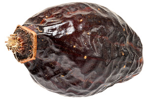 Close-up of a single dried rose hip with detailed skin texture