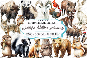 Watercolor Wildlife Nature Animals, an Illustration by designcity5