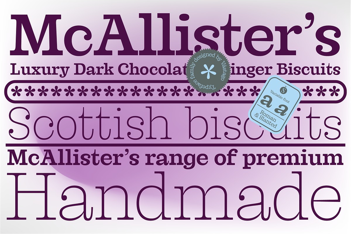 Franqueline Slab, a Slab Serif Font by Sudtipos (Photo 4 of 7)