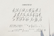 The Maestro - Signature Classic Font, a Script Font by Graphiqa Studio (Thumbnail 8 of 11)