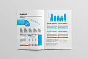 Annual Report Brochure, a Brochure Template by New Lines (Thumbnail 9 of 11)