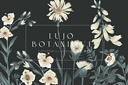 Lujo Botanique Prints & Motifs, a Pattern Graphic by TSTUDIO (Thumbnail 1 of 12)