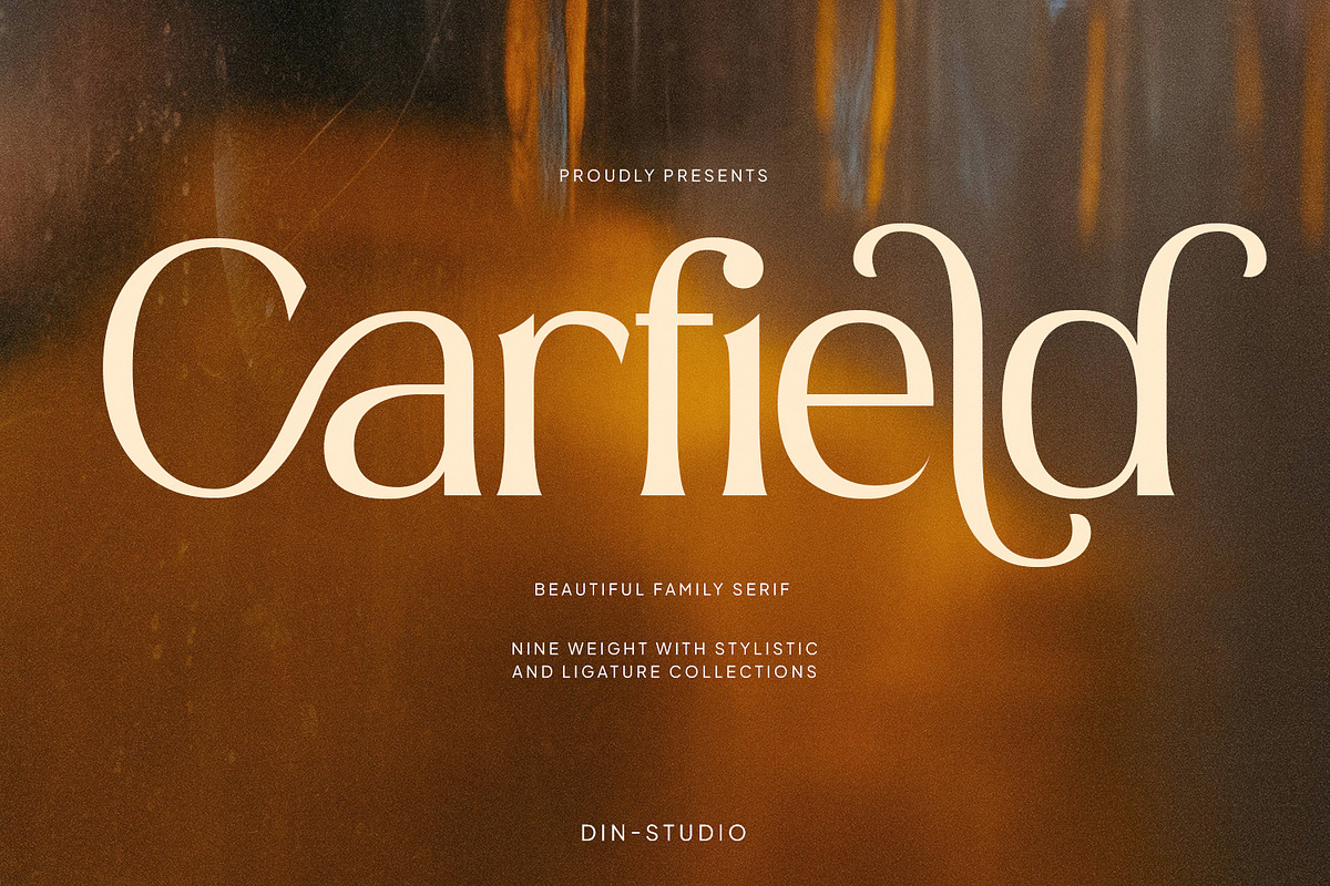 Carfield, a Serif Font by din-studio.com (Photo 1 of 11)