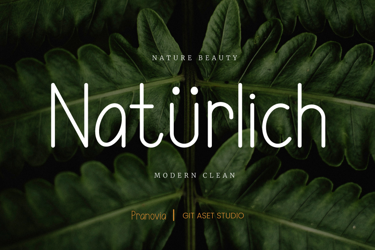 Pranovia Display Typeface, a Handwritten Font by gitasetstudio (Photo 5 of 6)