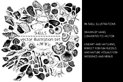 Shells - vector illustration set, an Animal Illustration by Renée from Studio neetje (Thumbnail 2 of 4)