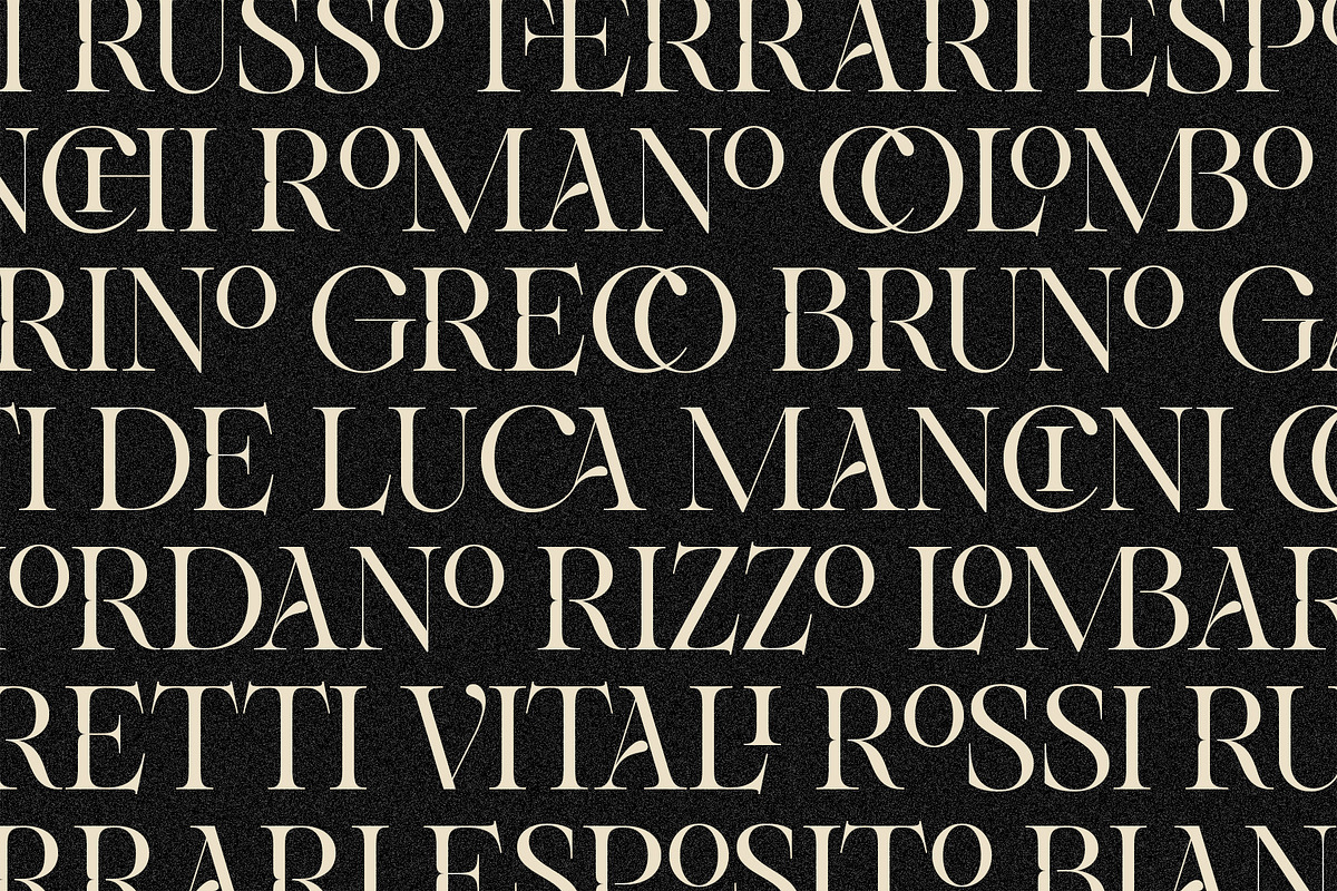 Netsera Calligraphic Serif Typeface, a Serif Font by SilverStag Type Foundry (Photo 7 of 30)