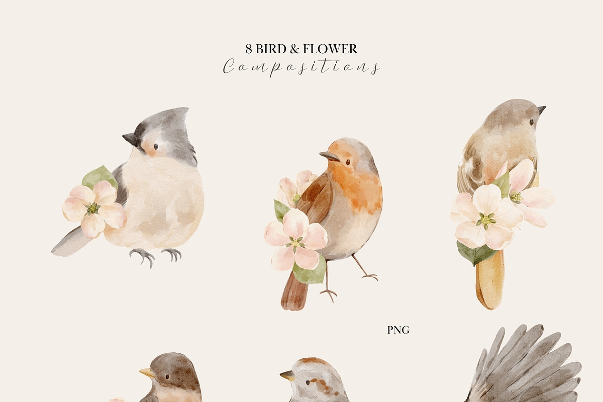 Watercolor Spring Birds & Blossoms, an Animal Illustration by Jenteva Art (Photo 2 of 17)