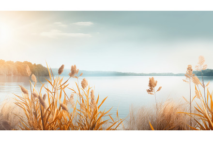 foliage natural border light, a Nature Photo by pikepicture
