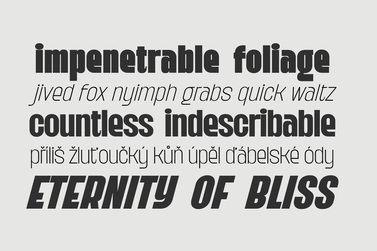 Kaligane, a Sans Serif Font by ArimaType (Photo 8 of 10)