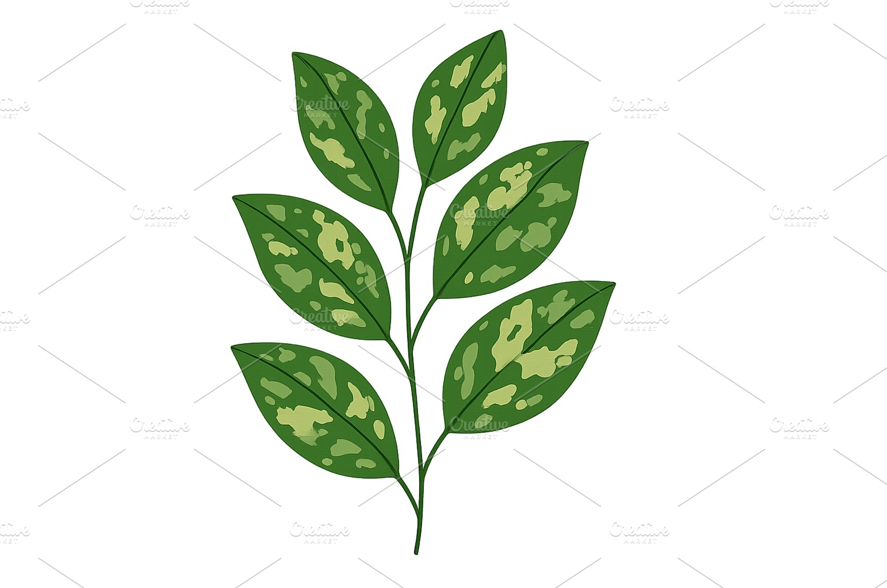 Green leaves with unique patterns on, a Nature Photo by ZinetroN
