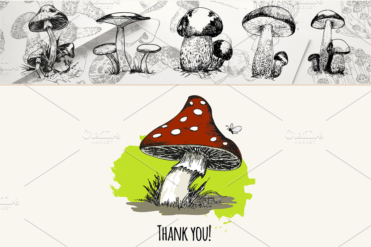 Mushrooms. Big set. 84 objects, a Decorative Illustration by Alena Kaz (Photo 8 of 8)
