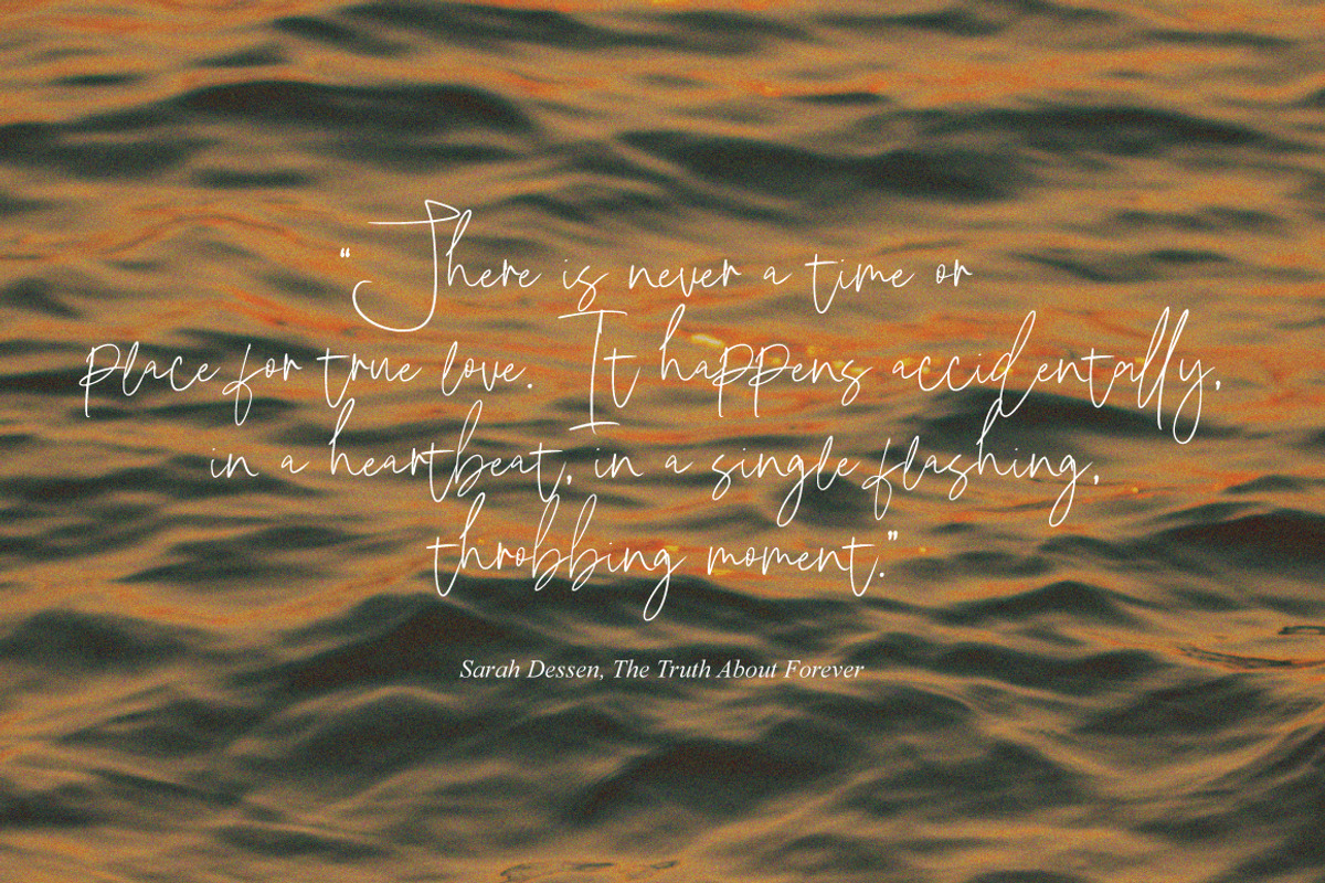 Villonia - Handwritten Signature, a Handwritten Font by tebaltipislab (Photo 5 of 8)