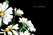 Watercolor Daisies, an Object Illustration by Olga Koelsch (Thumbnail 11 of 12)