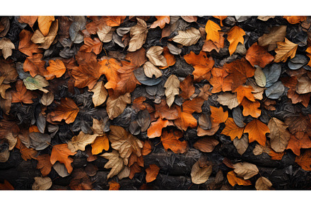 forest season seasonal backdrop, a Nature Photo by pikepicture