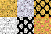 LIONS set, an Animal Illustration by Tanya Akhmett (Thumbnail 4 of 5)