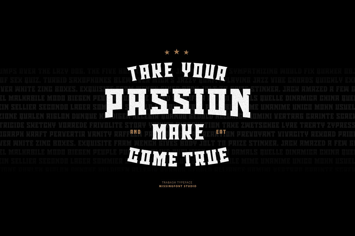 Slab font - Trabash Typeface, a Slab Serif Font by Missingfont.std (Photo 5 of 8)